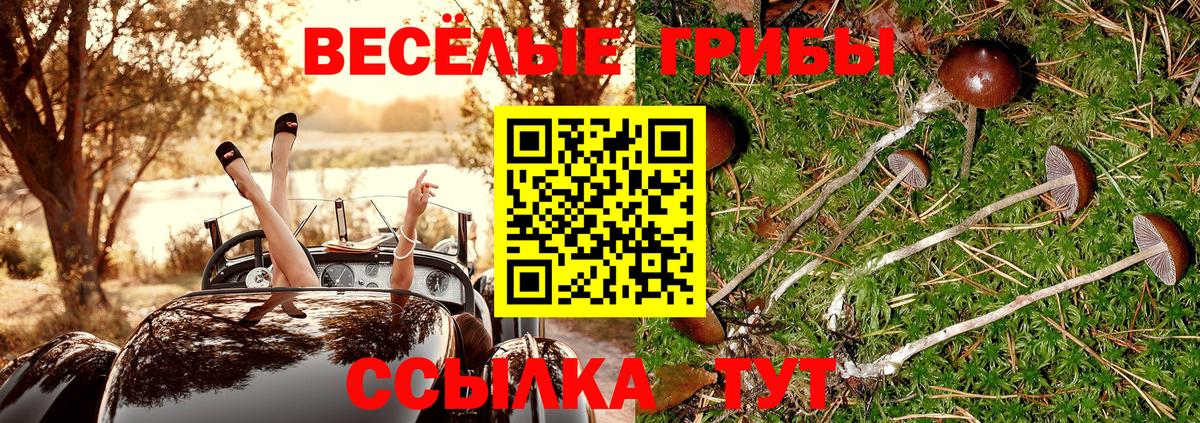 закладки  Вход с VPN  Елабуга  Галлюциногенные грибы Cubensis 